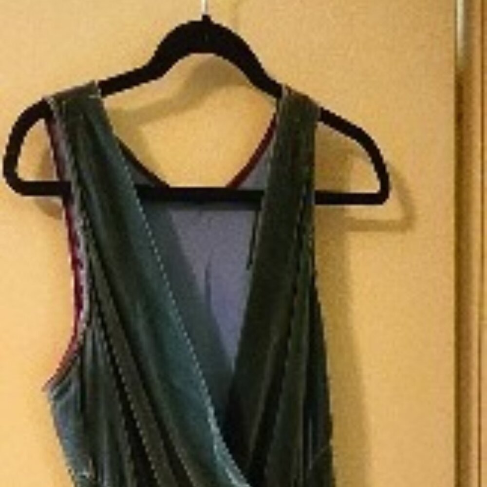 Beautiful Silk Velvet Chetta B Eveining size 14